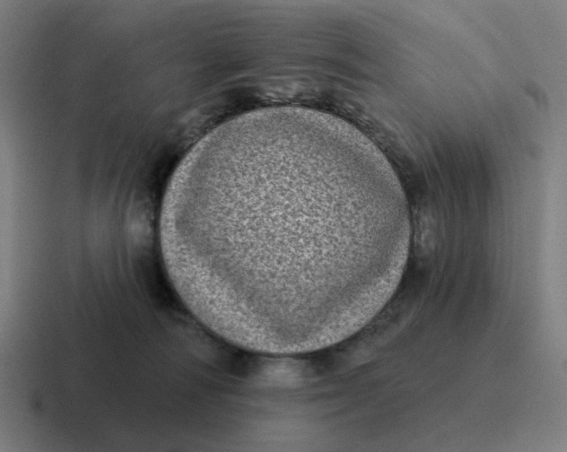 X0000116770226200912311844