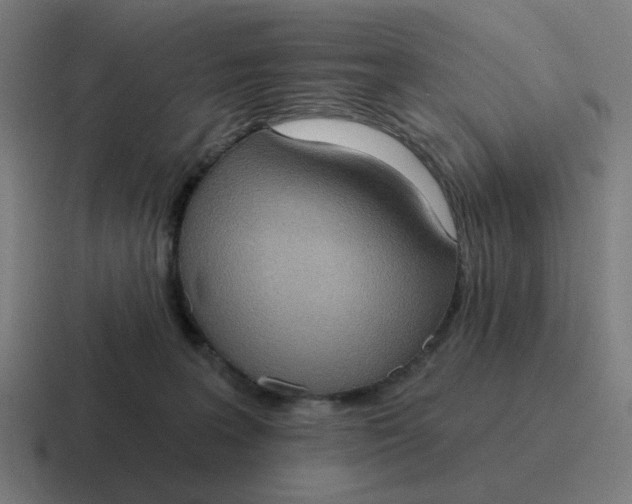 X0000116770227200912311844