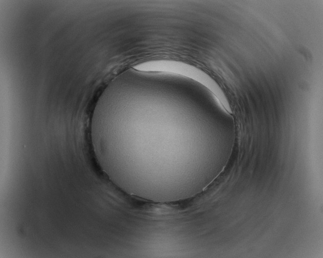 X0000116770229200912311844