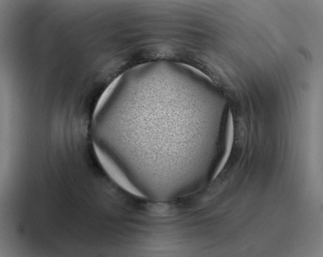 X0000116770230200912311844