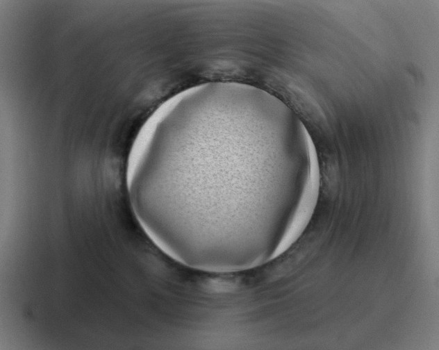 X0000116770232200912311844