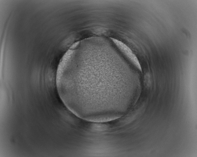 X0000116770234200912311844