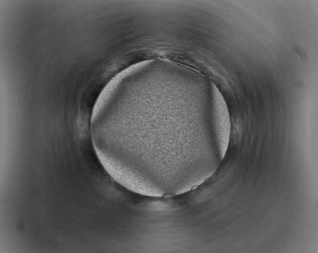 X0000116770236200912311844