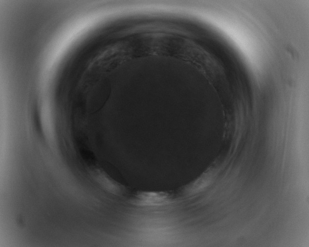 X0000116770239200912311844