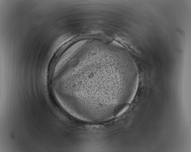 X0000116770242200912311843