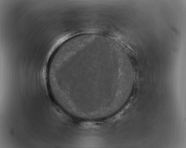 X0000116770244200912311843