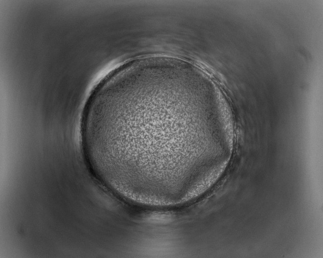 X0000116770248200912311843