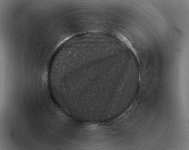 X0000116770249200912311843