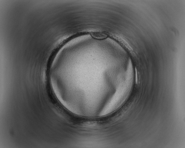 X0000116770252200912311843