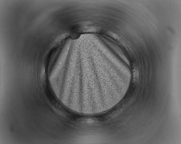 X0000116770254200912311843