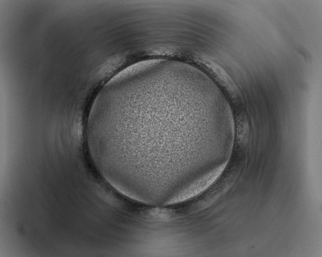 X0000116770261200912311844