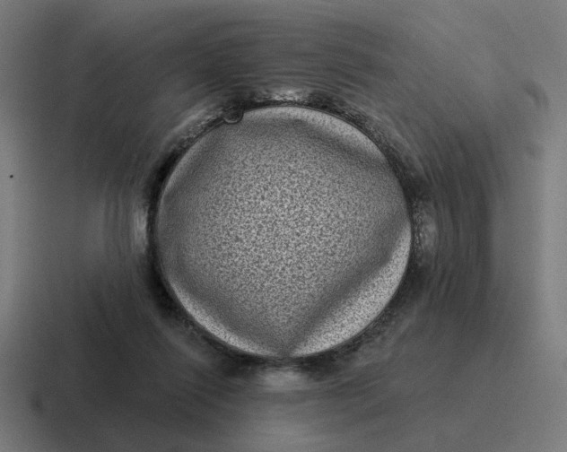 X0000116770262200912311844