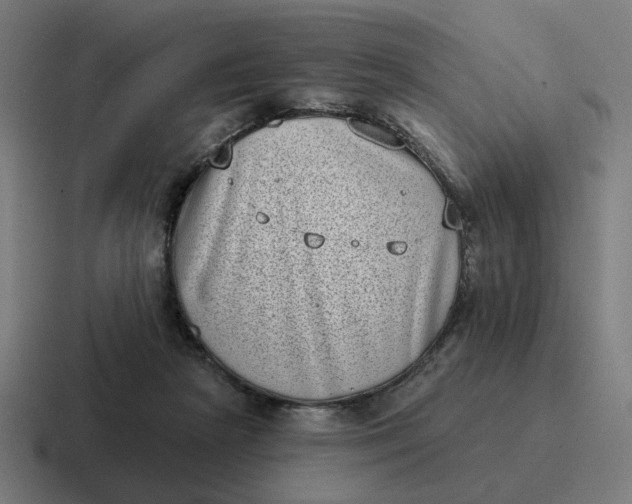 X0000116770265200912311844