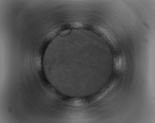 X0000116770267200912311844