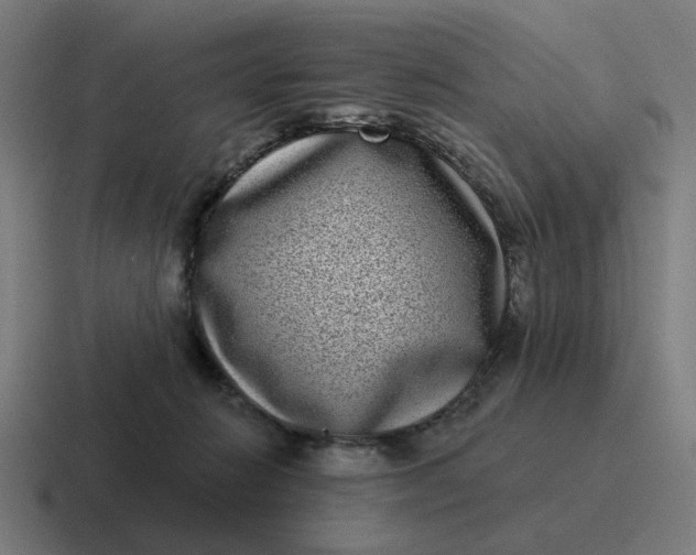 X0000116770270200912311844