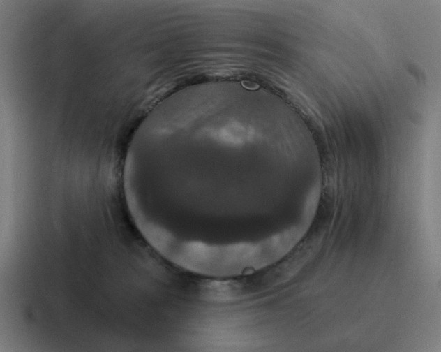 X0000116770277200912311844