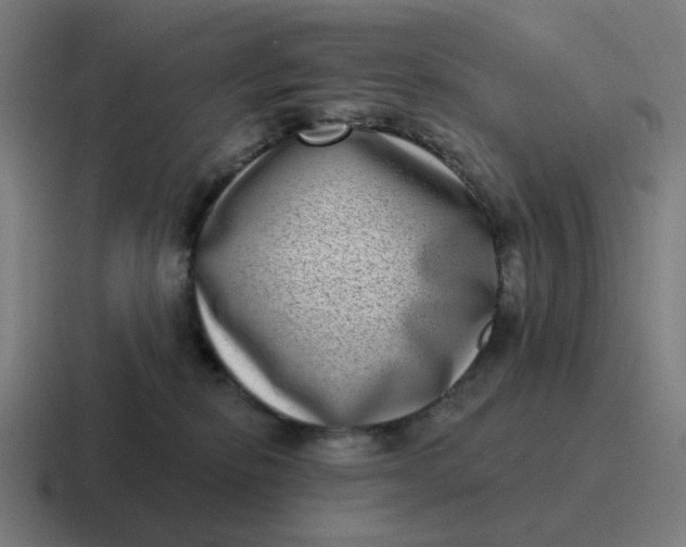 X0000116770278200912311844