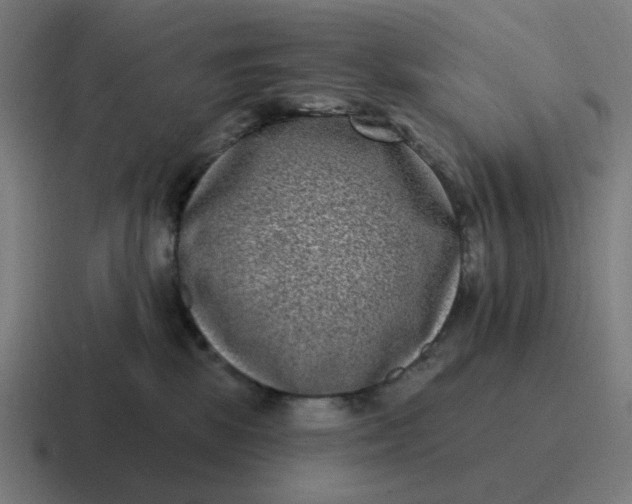 X0000116770281200912311844