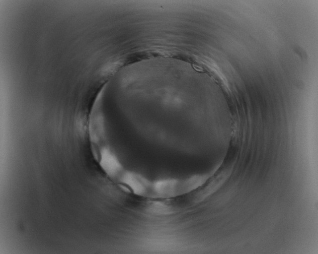 X0000116770285200912311844