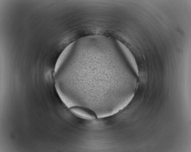 X0000116770286200912311844