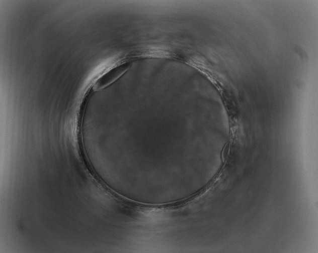 X0000116770293200912311843