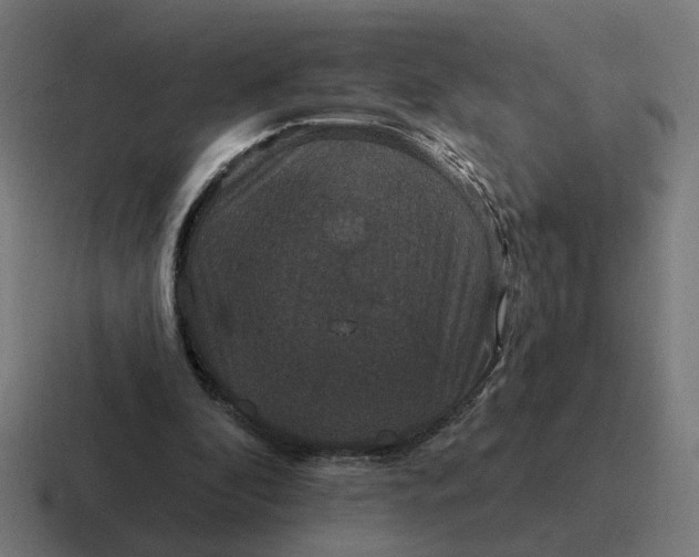 X0000116770296200912311843