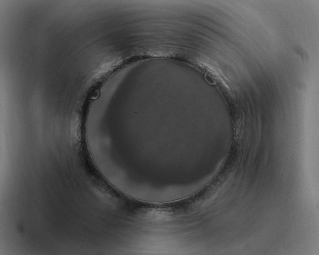 X0000116770303200912311843