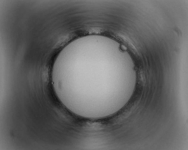 X0000116770311200912311843