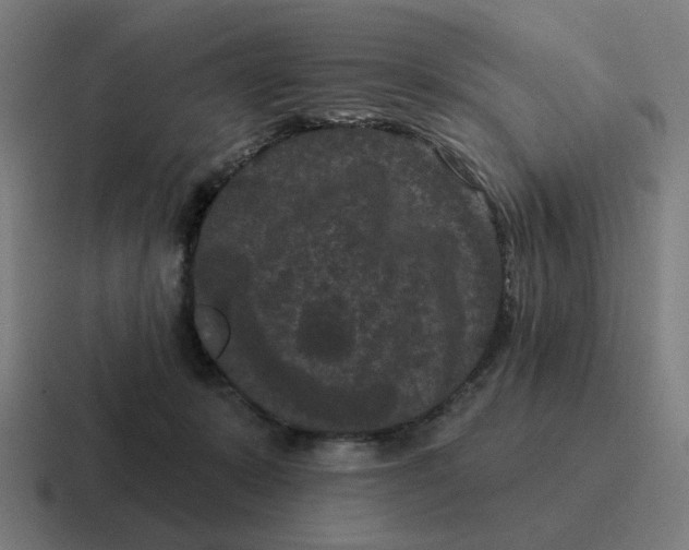 X0000116770319200912311843