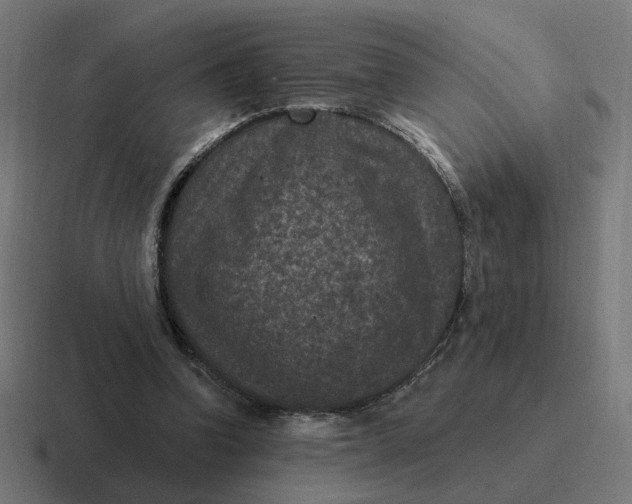 X0000116770346200912311842