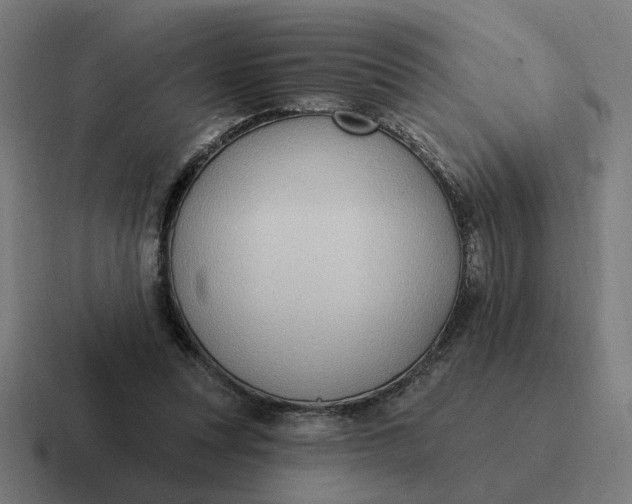 X0000116770351200912311842