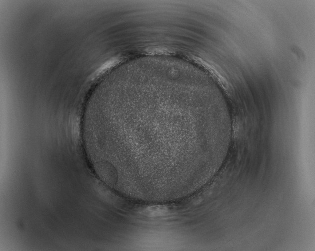 X0000116770353200912311842