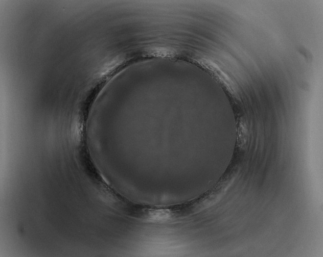X0000116770355200912311842