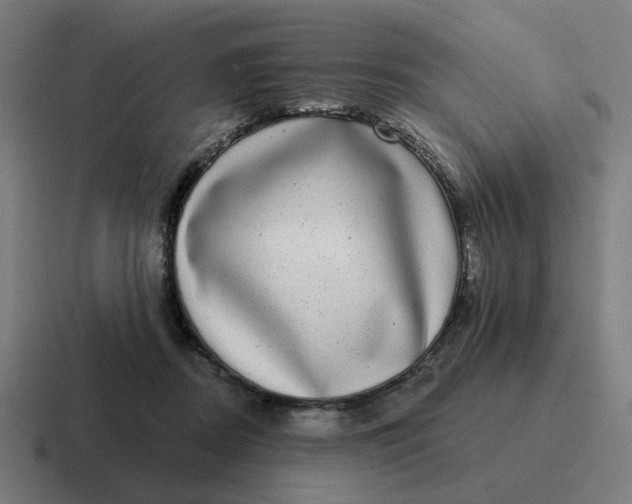 X0000116770362200912311842