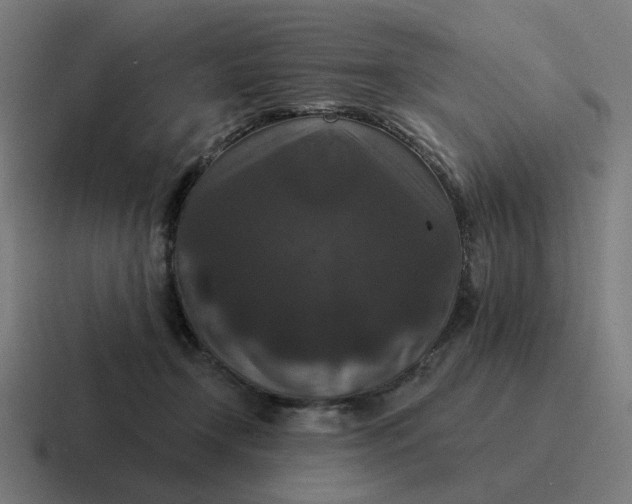 X0000116770366200912311842