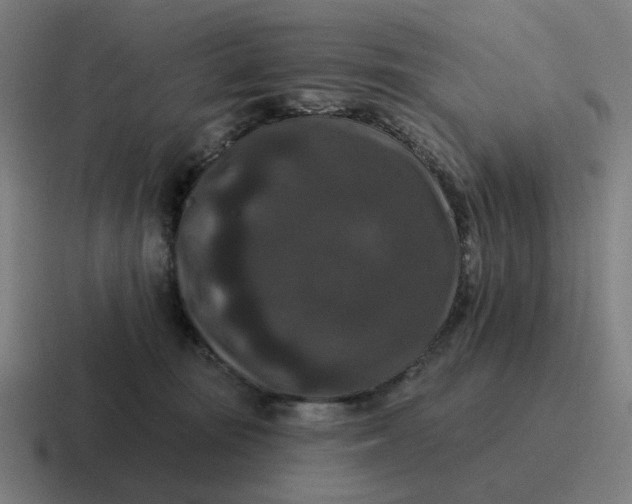 X0000116770371200912311843