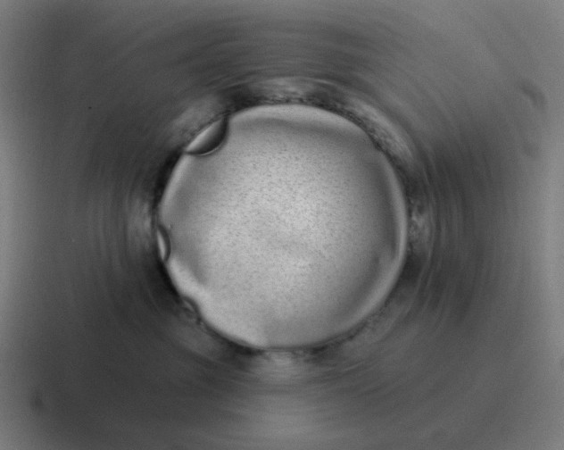 X0000116770381200912311843