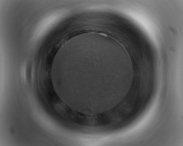 X0000116770382200912311843