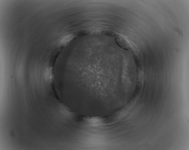 X0000116770383200912311843