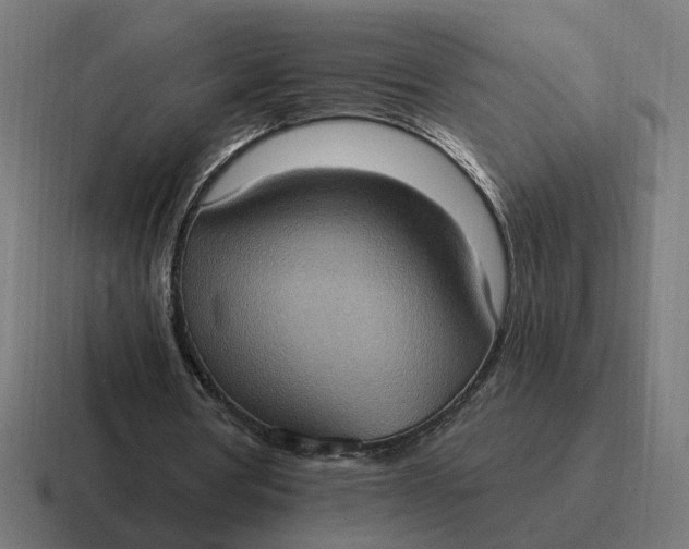 X0000116770386200912311842