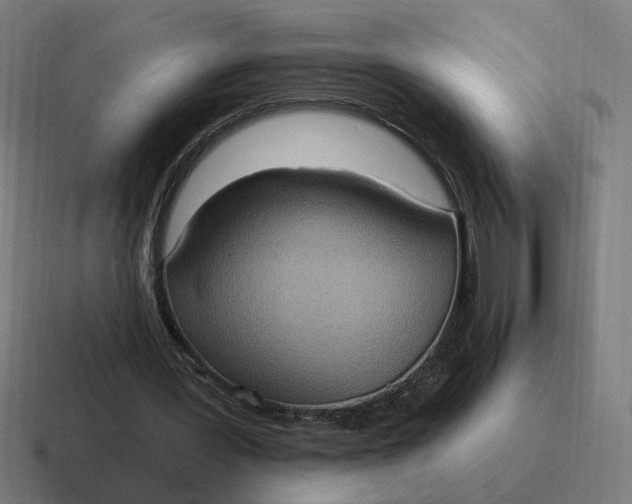 X0000116770387200912311842