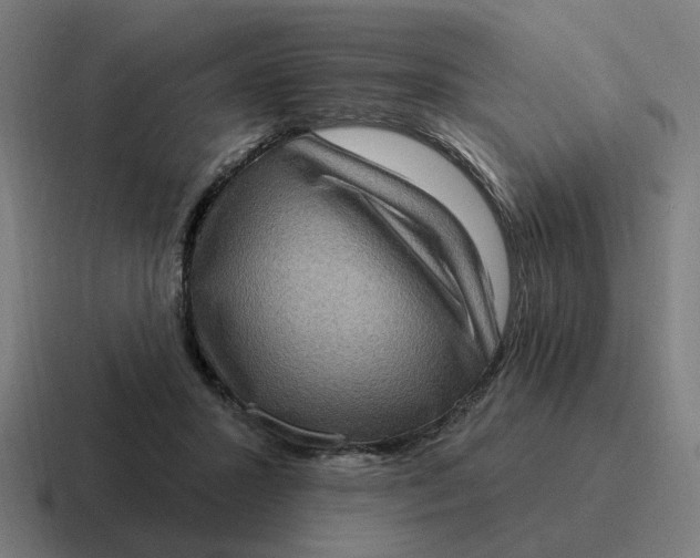 X0000116770407200912311842