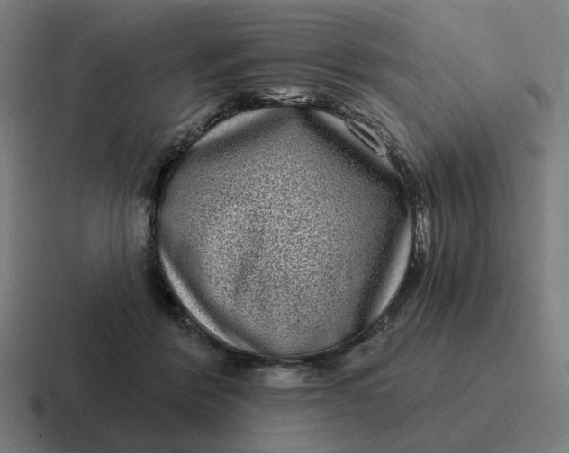 X0000116770412200912311842