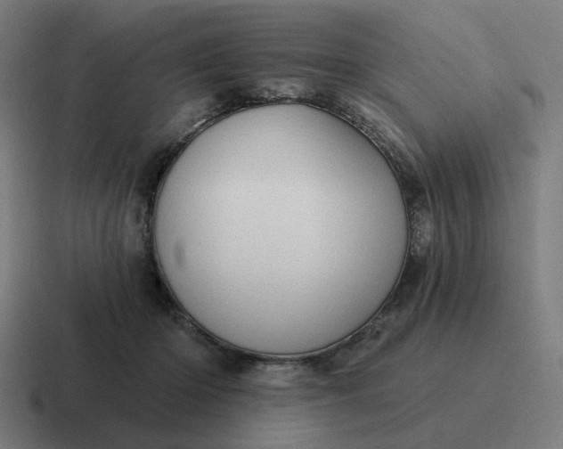 X0000116770414200912311842