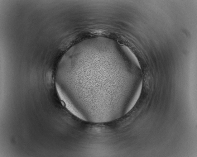 X0000116770420200912311842