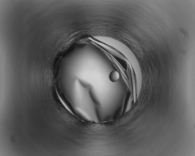 X0000116770421200912311842