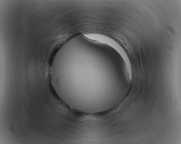 X0000116770423200912311842