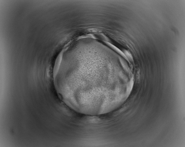 X0000116770424200912311842