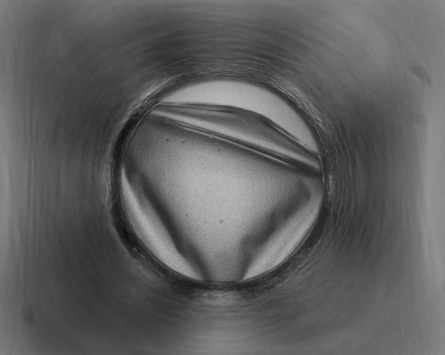 X0000116770444200912311841