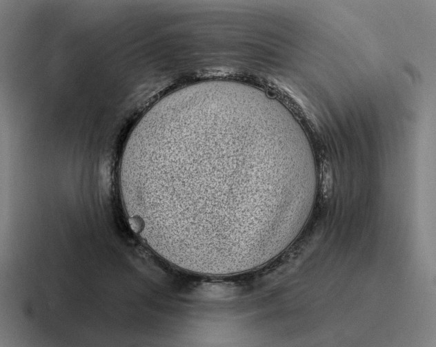 X0000116770455200912311841
